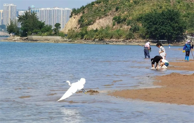 边海检察公益诉讼全力守护北部湾滨海湿地